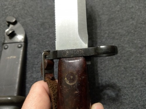 IMG_20191109_173939958 resized.jpg