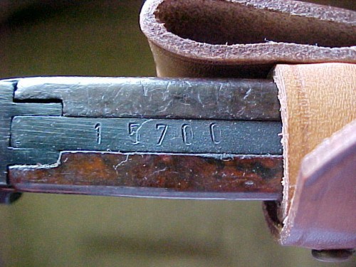 3b.JPG